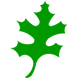 example die cut shape of a leaf from an oak tree