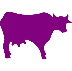 example die cut shape of a cow looking east