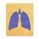example die cut shape of the organ lungs